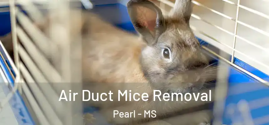 Air Duct Mice Removal Pearl - MS