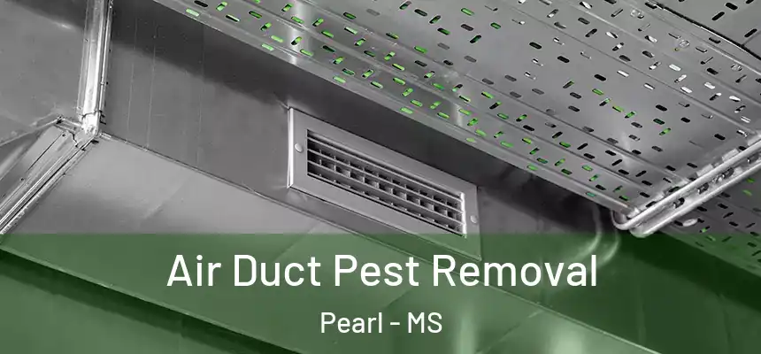 Air Duct Pest Removal Pearl - MS