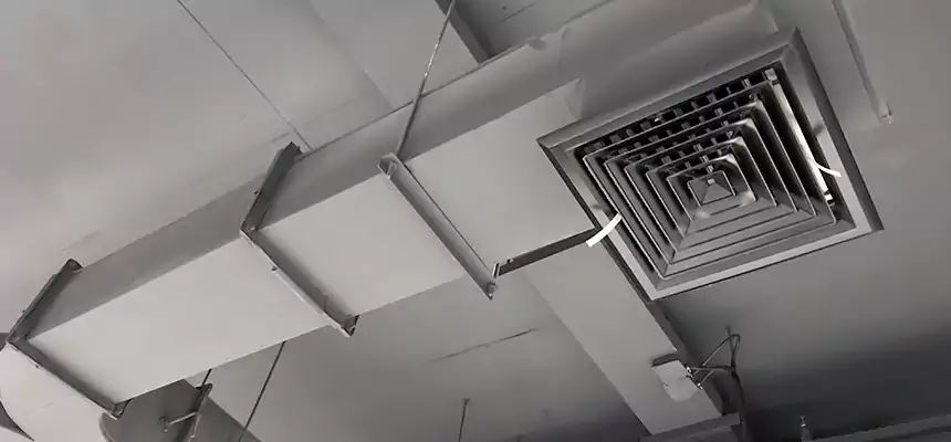 Restorative Allergy Relief Vent Cleaning – Coil, Blower & Housing Detail in Pearl