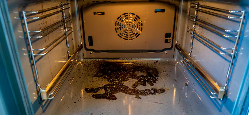 Our Dryer Vent Mold Cleaning Services in Pearl, MS