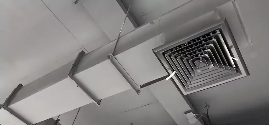 Our Rodent Droppings In Vents Services in Pearl, MS