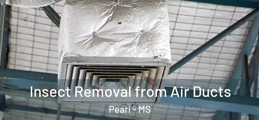 Insect Removal from Air Ducts Pearl - MS