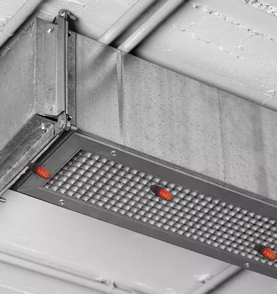 About Air Duct Cockroach Removal in Pearl, MS