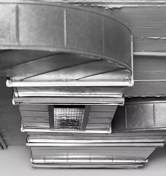 Professional Air Duct Pest Removal in Pearl, MS