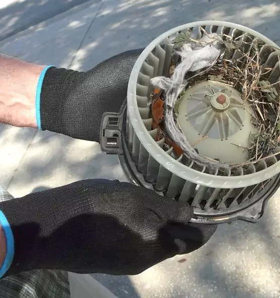 About Air Duct Rat Removal in Pearl, MS