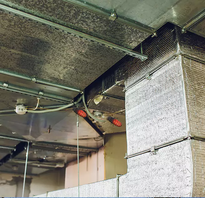 Why Homeowners & Businesses Trust Us Pearl, MS?