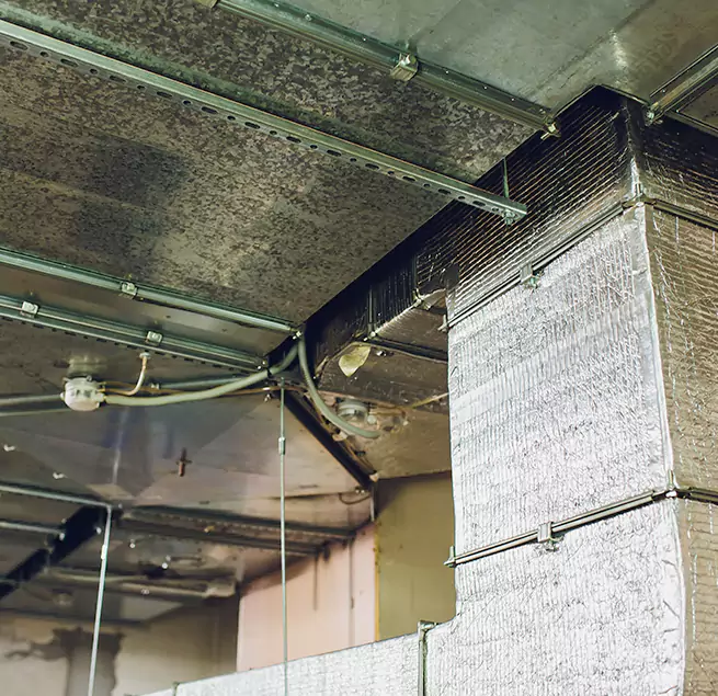 Why Homeowners & Businesses Trust Us in Pearl, MS?