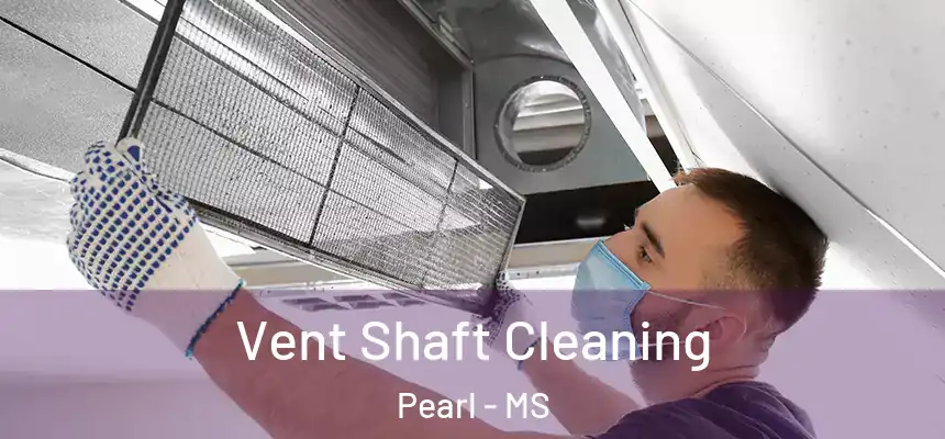  Vent Shaft Cleaning Pearl - MS